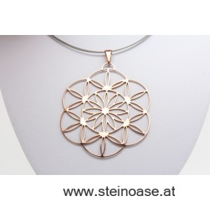 Anhänger 'Kornkreis' Edelstahl rose - AKTION